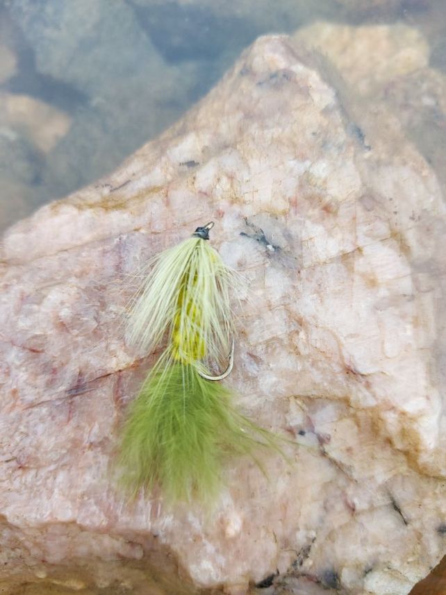 Fly Olive Wooly Bugger 1-hook hooksize 6