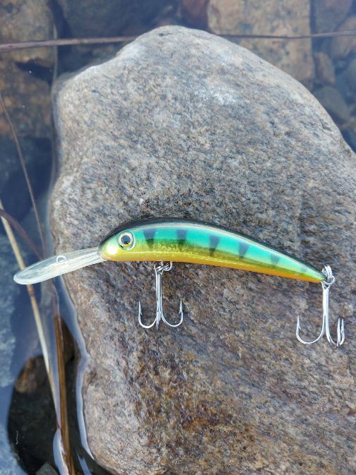 Jakki 10 cm model long visor