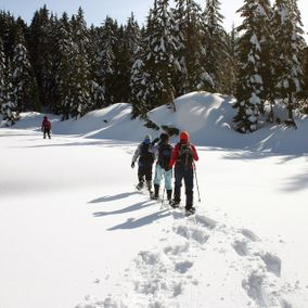 Travellers with Snow Shoes