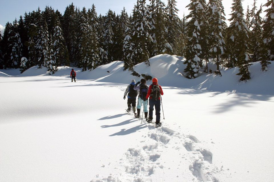Travellers with Snow Shoes
