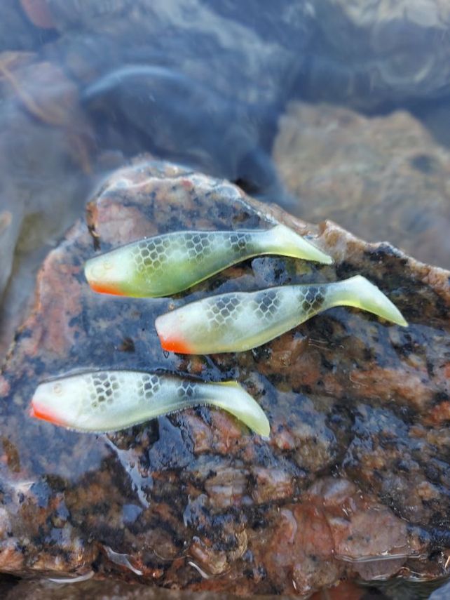 Jig Serie Barsch 5,5 cm 3 Stücke