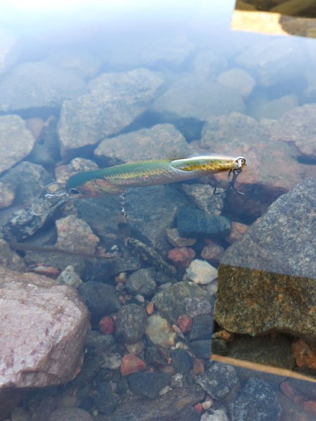 HTR Flub wertvoller Wobbler 11 cm 20 g - 24 g