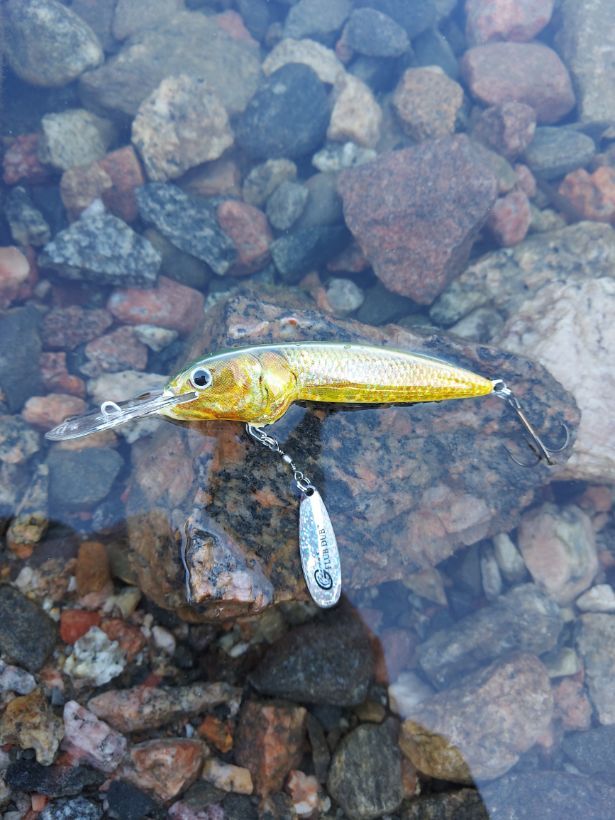 HTR Flub wertvoller Wobbler 11 cm 20 g - 24 g