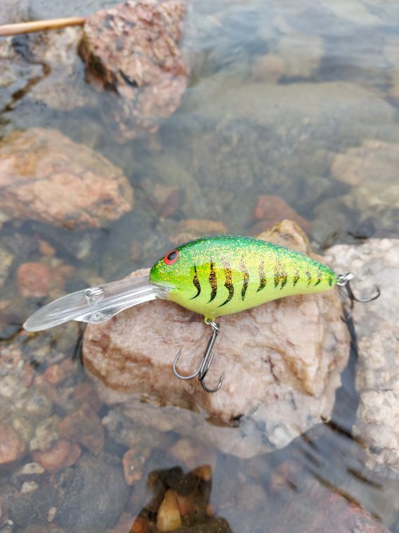 Shad deep 8 cm 28 g