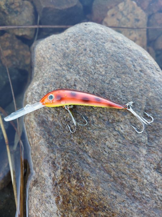 Jakki lure 8 cm model long visor