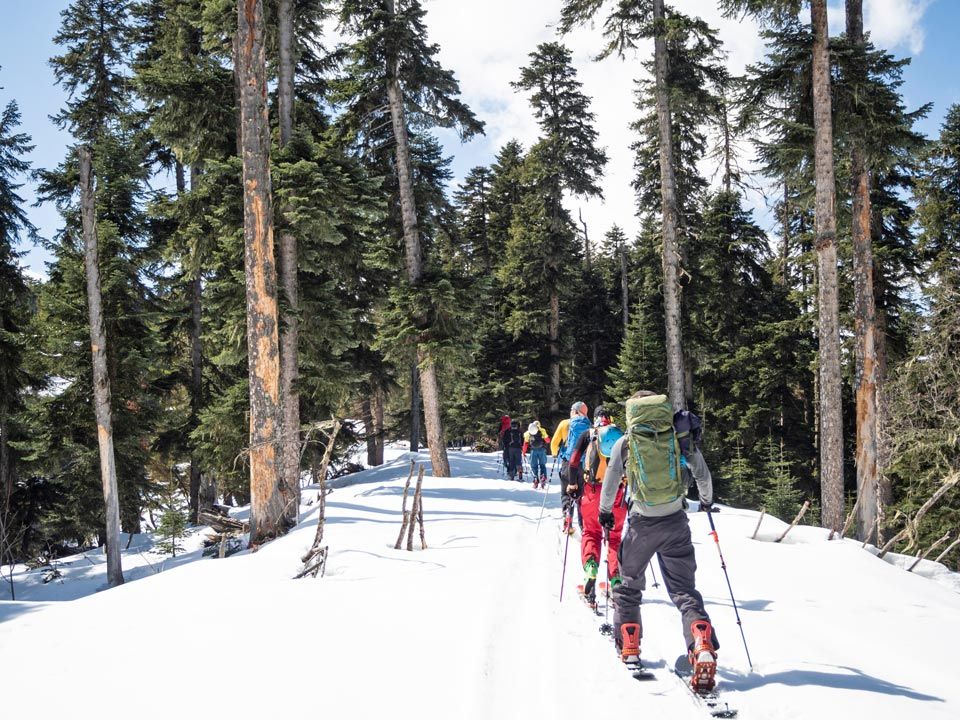 Travellers on skis in winter