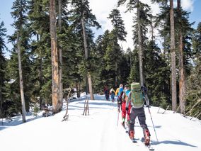 Travellers on skis in winter