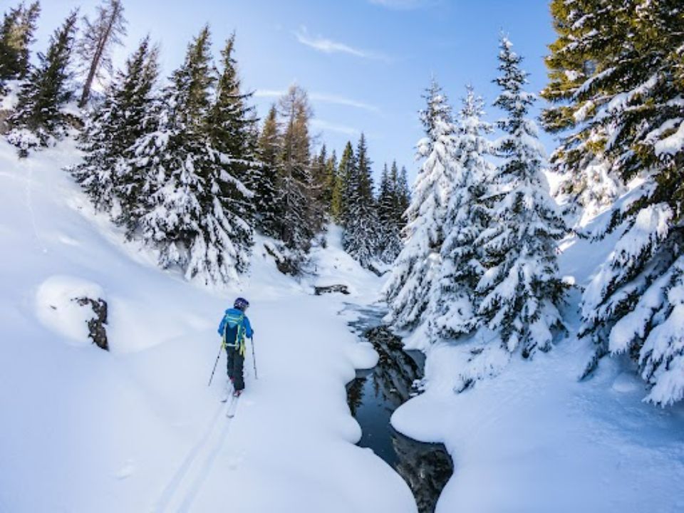 Metsähiihtoa