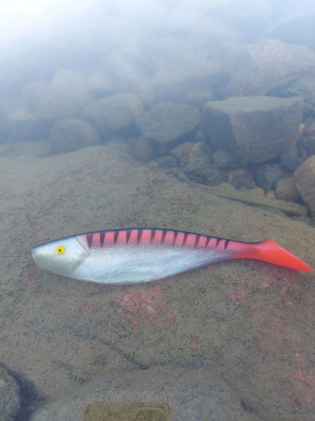 Jigi 20 cm 