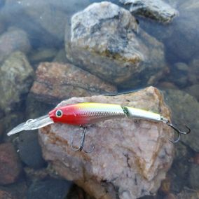 Storm Deep Jointed MinnowStick with rattles 9 cm