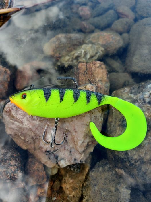 Shad Schwanzjig 14 cm / 50 g und 10 cm / 23 g