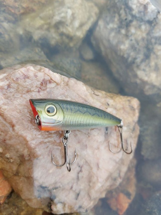 Slammer Popper 6 cm mit Rasseln