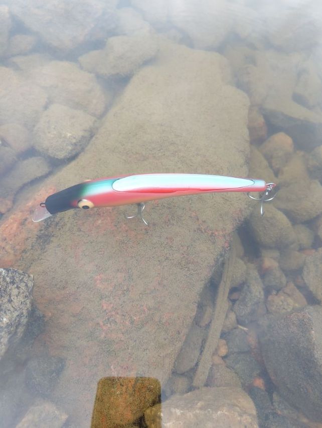 Zam lure 22 cm