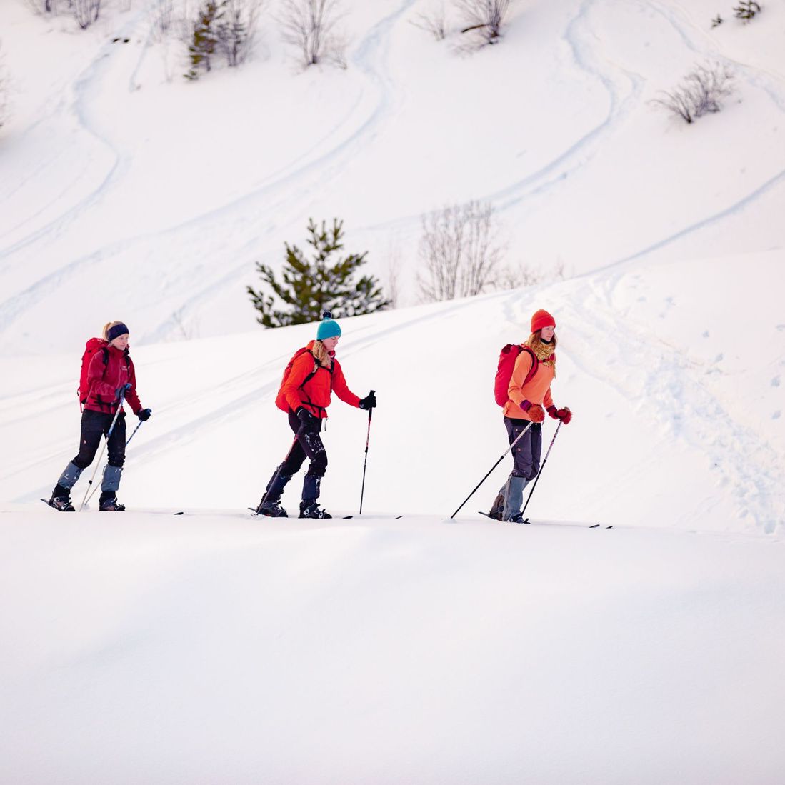 3 skiers