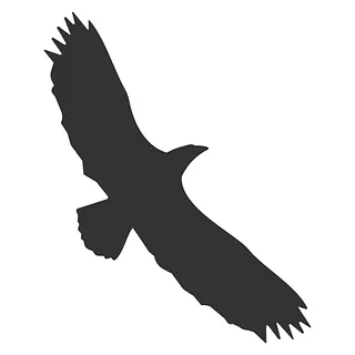 hiihtokuvake