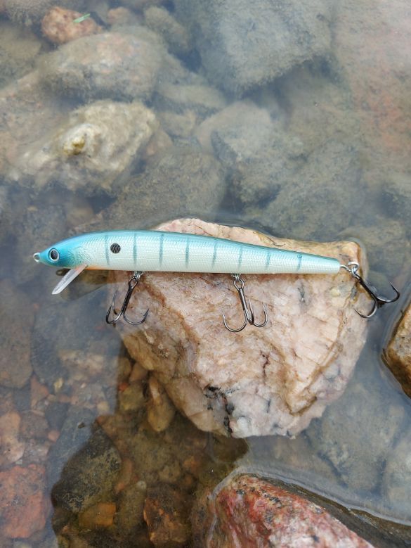 Bagley viehe 13 cm 12 g