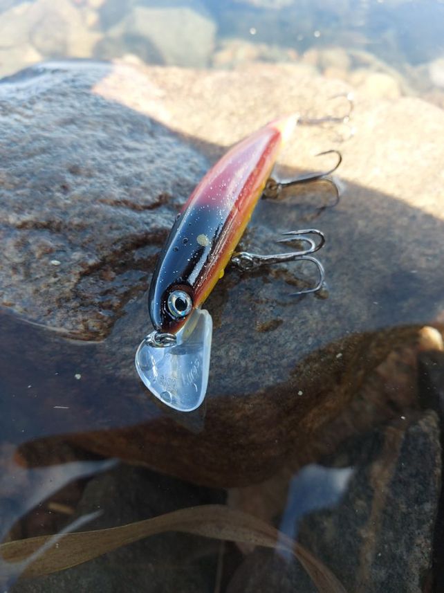 Taiga Lures Saga 13 cm