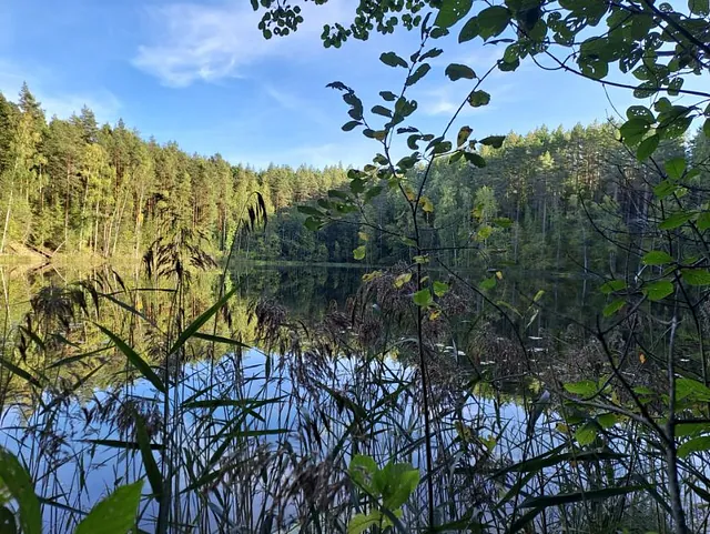 Ilmakuvaa saaresta