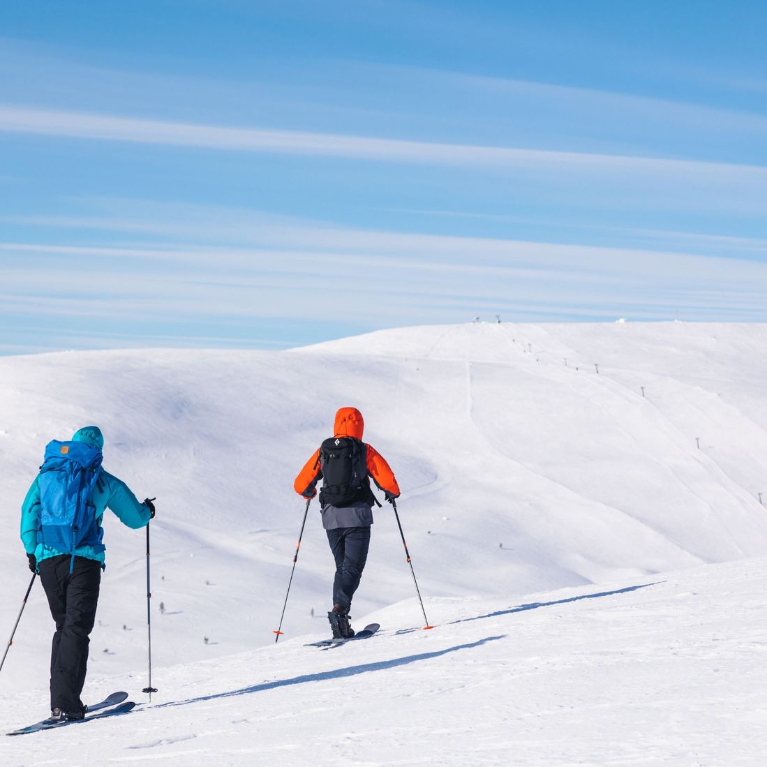 2 skiers in winter