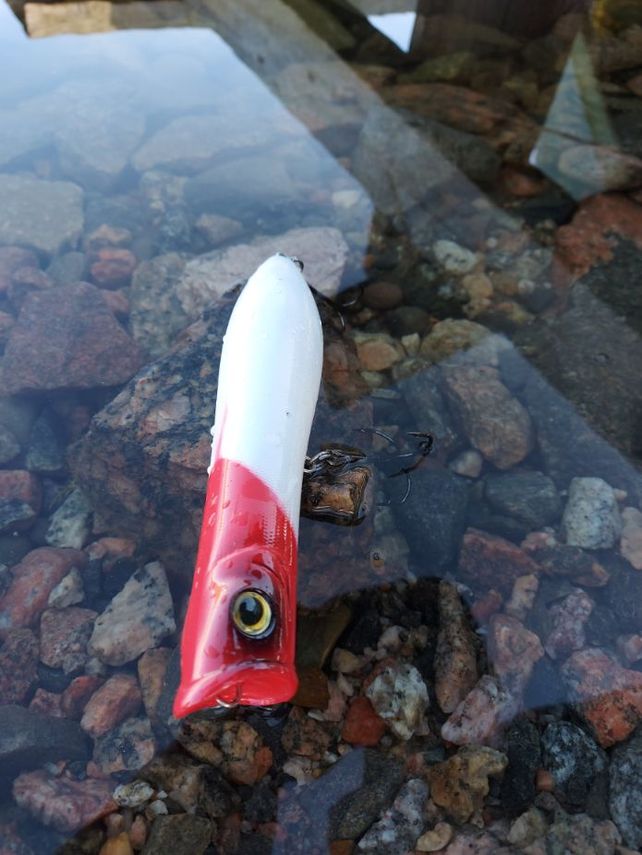 Slammer popperi iso 20 cm 120 g