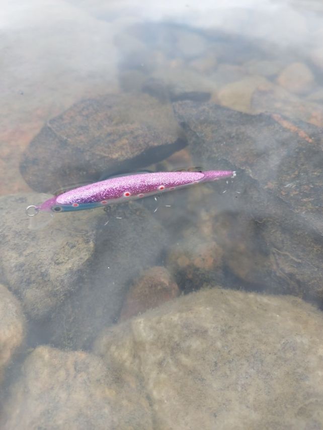 Taiga Lures Saga 10 cm