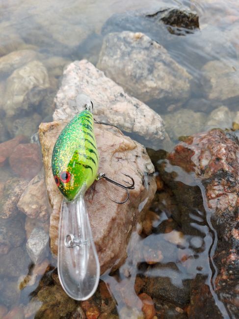 Shad deep 8 cm 28 g